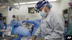 Pig Human Transplants
