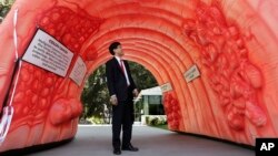 Anggota parlemen, Richard Pan, D-Sacramento, yang juga adalah seorang dokter anak, melintasi balon berbentuk usus besar di Gedung Capitol, Sacramento, California, Senin, 24 Maret 2014 (foto: AP Photo/Rich Pedroncelli)