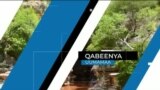 Tamsaasa Guyaadhaa Guyyaa