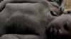 In South Sudan State, Hunger Again Stalks Children