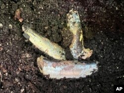 Gardening-DIY Fertilizer