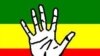 Police Arrest 2 More MDC Activists Over Harare Cop Death