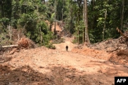Hutan hujan Amazon di Brazil. (Foto: AFP)