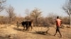 Agricultores no Sul de Angola preocupados com ano agrícola