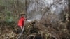 Seorang petugas damkar berusaha memadamkan kebakaran hutan di Pekanbaru, provinsi Riau (foto: dok). 