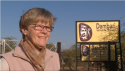 Verity Bowman, director of Dambari Wildlife Trust, a wildlife conservation research organization and one of the NGOs taking part in anti-rhino poaching efforts with the in Zimbabwe, government, June 23, 2019. (VOA/ C. Mavhunga)