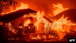 Em fotos: Incêndios florestais na Califórnia destroem casas e obrigam milhares a evacuar