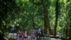 Data WRI: Hutan Tropis Dunia Kian Berkurang