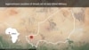 US Suspects Niger Villager Betrayed Army Troops