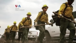 Susah Nggak Ya: Diaspora Indonesia Pemadam Kebakaran Hutan di California