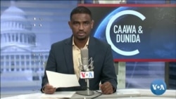 Caawa iyo Dunida
