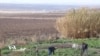 Pêkhateyên Herêma Dêrikê Li Ser Sûrîyaya Nû Çi Dibêjin
