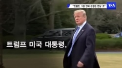 "트럼프, 5월 안에 김정은 만날 것"