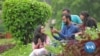 New Delhi University Allows Pakistani Students to Enroll Again