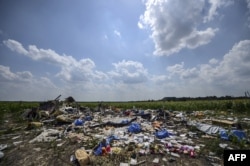 FILE - A photo taken on July 23, 2014 shows the crash site of the downed Malaysia Airlines flight MH17, in a field near the village of Grabove, in the Donetsk region of Ukraine.