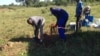 Gukurahundi Exhumations