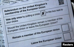 Illustration picture of postal ballot papers in London ahead of the June 23 BREXIT referendum when voters will decide whether Britain will remain in the European Union, June 1, 2016.