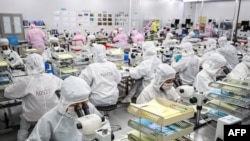中國江蘇省淮安的一個半導體工廠的工人正在製作LED芯片。（2020年6月16日）