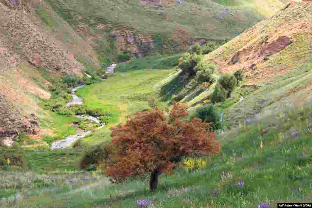 Ji Bajarokê Elbakê (Başkale) Çend Wêne Travertena