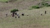 North Koreans farm in the field, along the Yalu River, in Sakchu county, North Phyongan Province, North Korea, June 20, 2015.