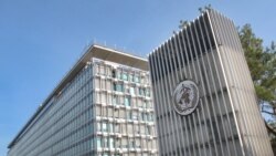 台灣外交官：中國主導遊戲規則使世衛組織成為其“守門者”