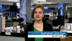 ۷ روز در یک نگاه