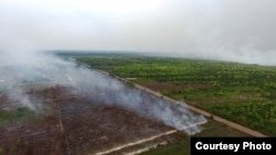 Foto udara "Save Our Bornoe" menggambarkan kawasan yang terbakar di Kalimantan Tengah. (Foto courtesy: SOB)