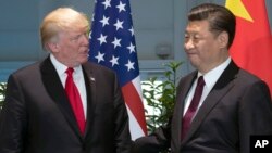 美國總統川普與中國國家主席習近平2017年7月在G-20 會議期間會晤。（資料圖片）