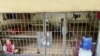 Kondisi puluhan laki-laki yang ditemukan di dalam kerangkeng di belakang rumah Bupati Langkat Terbit Rencana Perangin Angin hari Senin (24/1). (Courtesy: Migrant Care) 