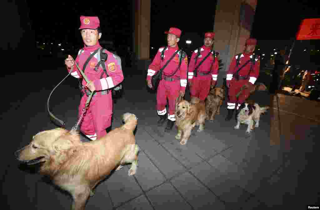 Members of China International Search & Rescue Team and their rescue dogs arrive at Beijing Capital International Airport after a 13-day mission in Nepal, China, May 8, 2015.