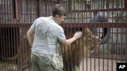 Natalia Popova, de 50 años, acaricia a un león en su refugio de animales en la región de Kyiv, Ucrania, el jueves 4 de agosto de 2022.