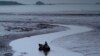 US Fishermen Face Shutdowns as Warming Hurts Species