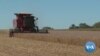Ukraine War Creates Risks, Benefits for US Farmers  