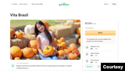 Halaman GoFundMe Novita "Vita" Brazil.