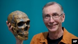 瑞典科学家斯万特·帕博（Svante Paabo）2022年10月3日在德国莱比锡手持尼安德特人骨骼的复制品。（美联社照片）