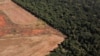 Deforestasi Hutan Amazon Naik 14% pada Maret
