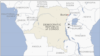 Islamist Rebels Kill 15 in Eastern DR Congo