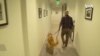 K9警犬急救队帮助警察疗伤止痛