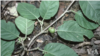 16x9 Image