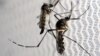 Pasien Virus Zika di AS Tulari Perawat