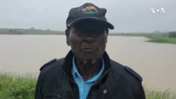 Inkomo Zika Stephen Moyo Ezinengi Zibulewe Yikoma Lokuswelakala Kwamadlelo