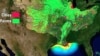 'Dead Zone' Threatens Livelihood of Gulf of Mexico Fishermen