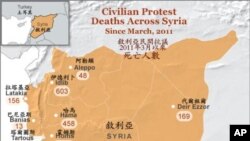 敘利亞政府軍在霍姆斯殺死12人
