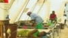 Refugee Camps Spread Deadly Diseases