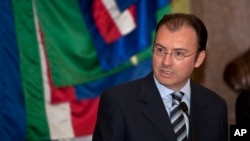 Menteri Luar Negeri Meksiko Luis Videgaray Caso,di Istana Nasional, Mexico City, 14 Desember 2012. (Foto: dok).