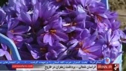 نیم نگاه ایران به صادرات زعفران و خاویار پس از لغو تحریم ها