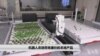 机器人农场带来廉价的本地产品