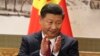 中国网民对习近平思想教育的反弹
