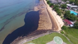 Foto udara yang diambil pada 2 April 2018 ini menunjukkan sebagian tumpahan minyak di Pantai Benua Patra di Balikpapan. (Foto: AFP)
