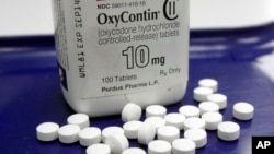 FILE - This Feb. 19, 2013, file photo, shows OxyContin pills arranged for a photo at a pharmacy in Montpelier, Vermont.